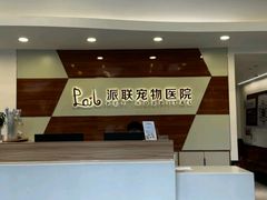 -派联宠物医院·24h·CT·异宠