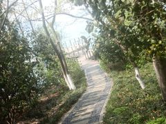 -金鸡湖桃花岛