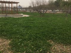 -晶宝温泉农庄