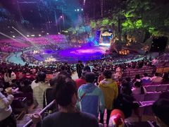 -广州长隆国际大马戏
