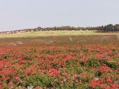 -南京枫彩漫城