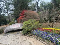 -庐山风景区花径公园