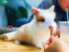 -小意思咖啡店(草桥店)