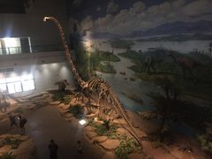 -自贡恐龙博物馆