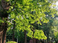 -上海大学(嘉定校区)