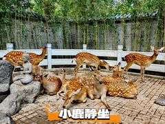 -北京野生动物园