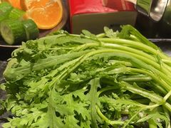 -重庆九记老火锅(广场店)
