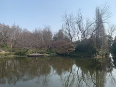 -上海滨江森林公园