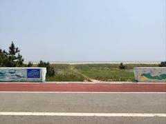 -日照海滨国家森林公园