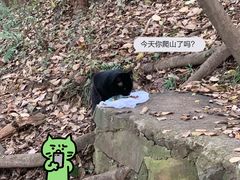 -紫金山山顶公园