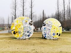 -黄海国家森林公园