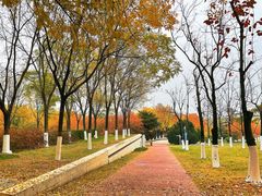 -北京国家会计学院