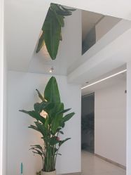 -魔型社烫染店