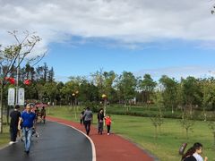 -上海长兴岛郊野公园