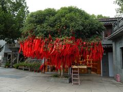 -东钱湖小普陀景区