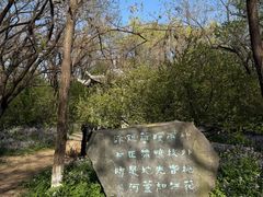 -高尔山公园