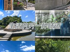 -上海吴淞炮台湾国家湿地公园