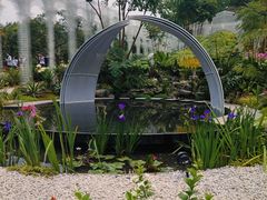 -深圳仙湖植物园