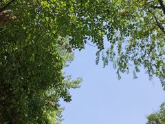 -府河摄影公园