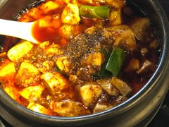 -陈麻婆豆腐总店