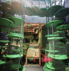 -恐龙探索乐园(磁器口店)