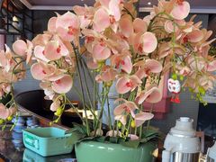 -八府香鸭·啫啫煲(华山路店)