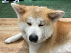 -YCHL Studios健身工作室(市二宫店)