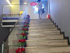 -顽啤熊·酒客酒馆(苏城夜景必选店)