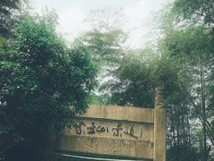 -紫金山天文台