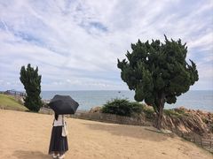 -小麦岛公园