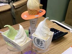 -野人先生现做冰淇淋(北京环宇荟店)