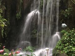 -华南国家植物园-售票处