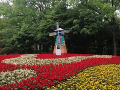 -上海共青森林公园