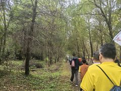 -上海海湾国家森林公园