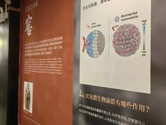 -泸州老窖景区