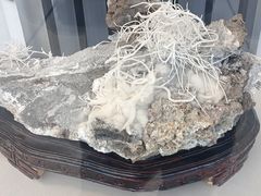 -房山世界地质公园博物馆