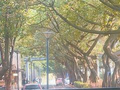 -星巴克(深圳侨城街店)