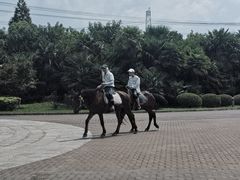 -太阳岛度假酒店