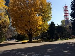 -北海道厅旧本厅舍(旧本庁舎)