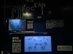 -同济大学四平路校区深海探索馆