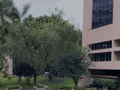 -广东外语外贸大学(白云山校区)