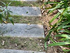 -厦门国家会计学院