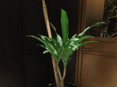 -徐记海鲜(观沙岭|滨江新城店)