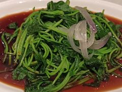 -红杏酒家(凤凰店)