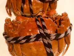 -龙之梦万丽酒店青餐厅