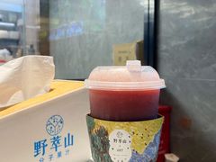 -野萃山·潮汕厚果汁(十亩地店)