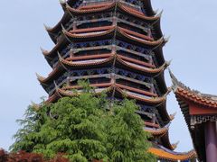 -铁山坪森林公园