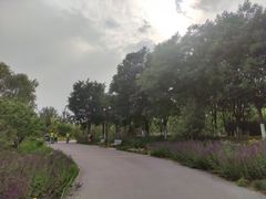 -永定河休闲森林公园