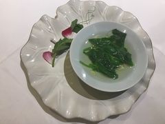 -西郊5号·Maggie 5