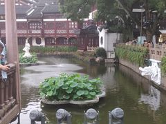 -鲜得来排骨年糕(豫园店)